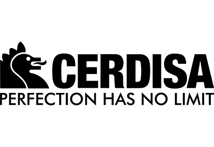 Porcellanato spessorato